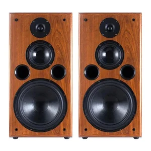 Branwish F109 10 inch passive bookshelf speaker 200W 3-way hifi silk tweeter wood cabinet home studio